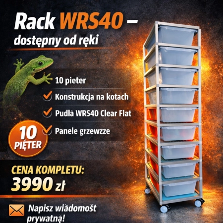 Rack WRS40 Classic – dostępny od ręki